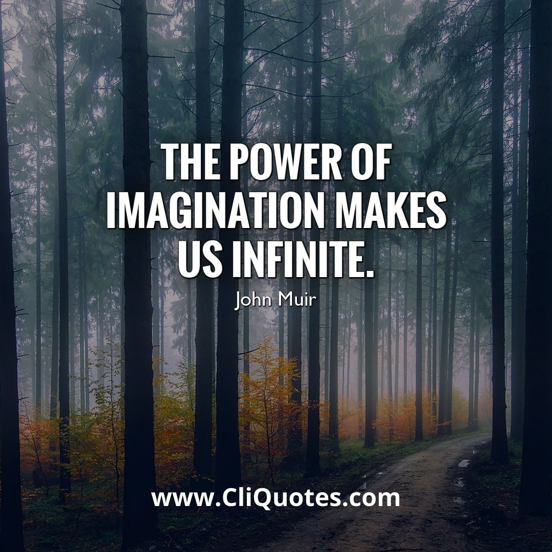 THE POWER OF IMAGINATION MAKES US INFINITE. - JOHN MUIR
