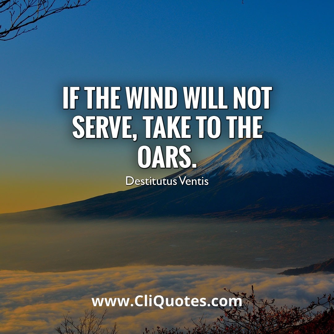 If the wind will not serve, take to the oars. - Destitutus ventis