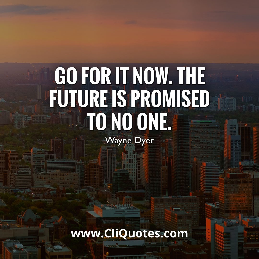 Go for it now. The future is promised to no one. - Wayne Dyer