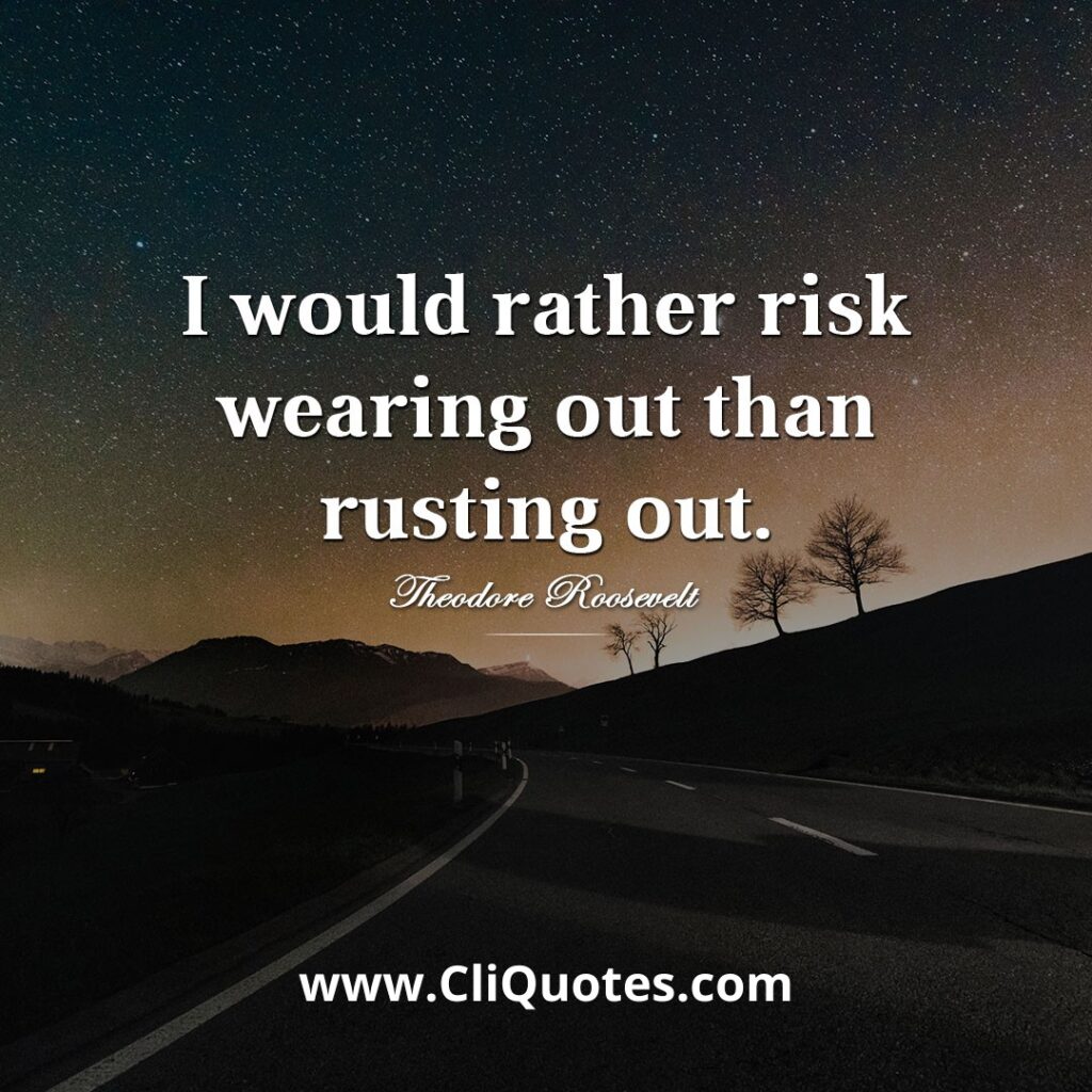 I would rather risk wearing out than rusting out. - Theodore Roosevelt