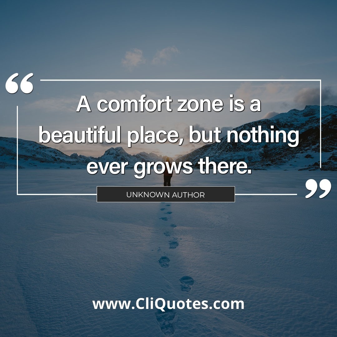 A comfort zone is a beautiful place, but nothing ever grows there.