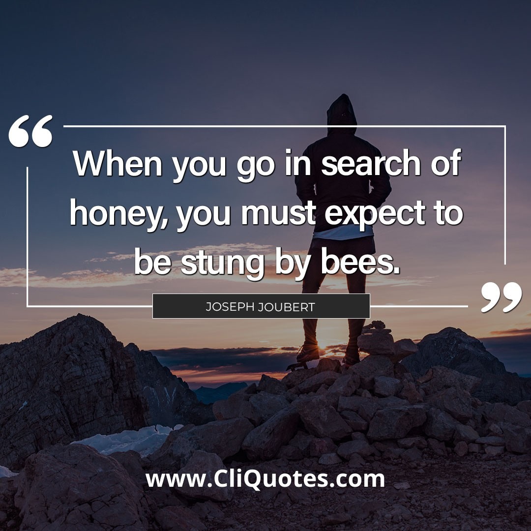 When you go in search of honey, you must expect to be stung by bees.. - Joseph Joubert