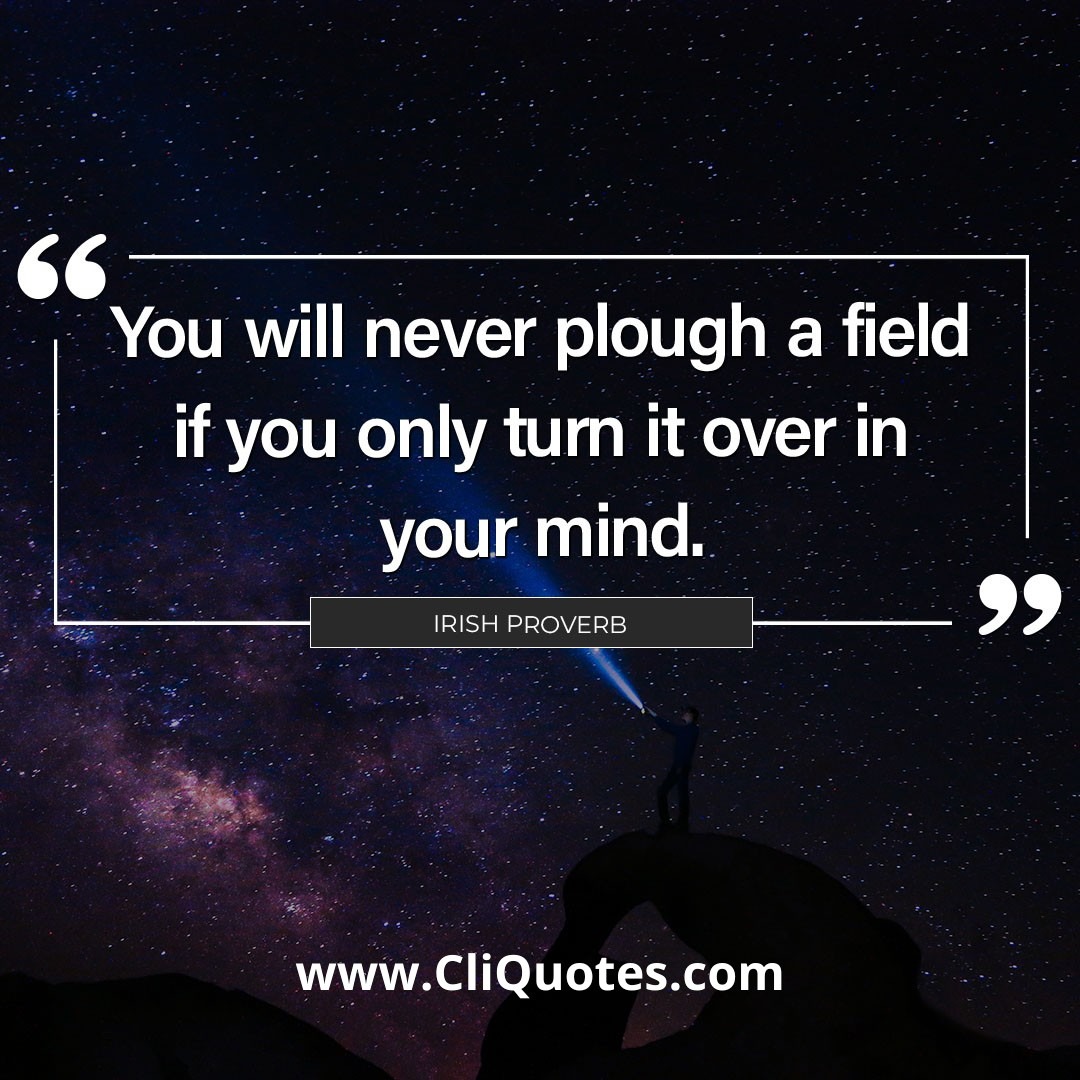 You will never plough a field if you only turn it over in your mind. - Irish Proverb