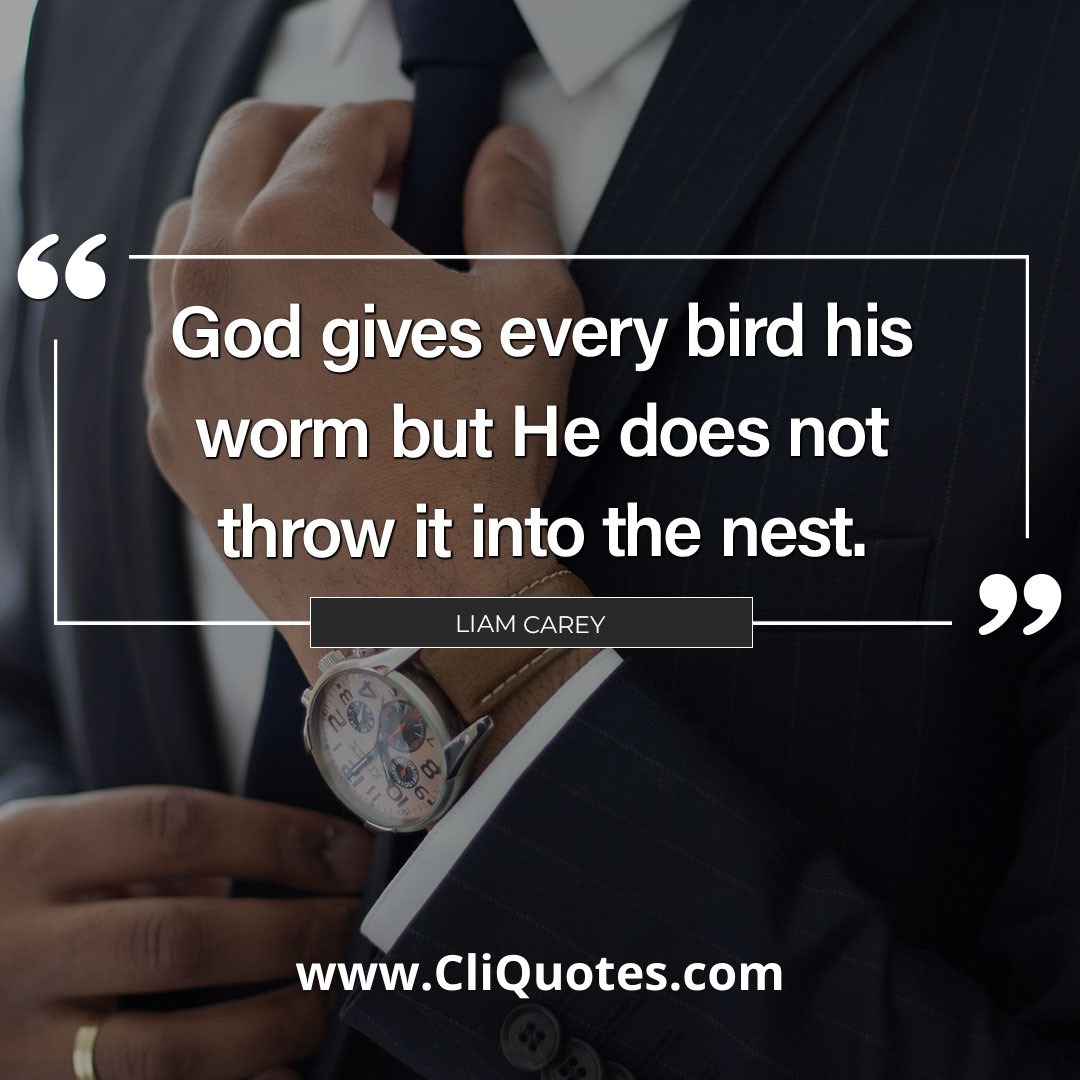 God gives every bird his worm but He does not throw it into the nest. - Liam Carey