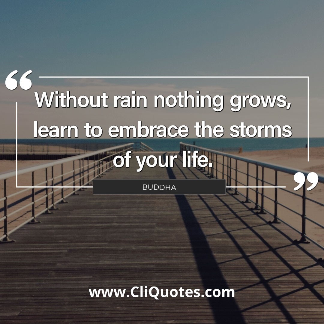 Without rain nothing grows, learn to embrace the storms of your life. - Buddha