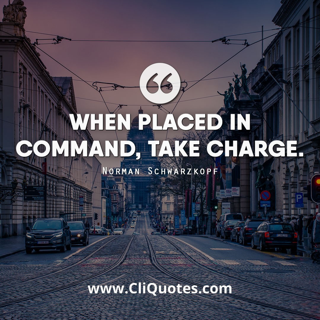 When placed in command, take charge. - Norman Schwarzkopf
