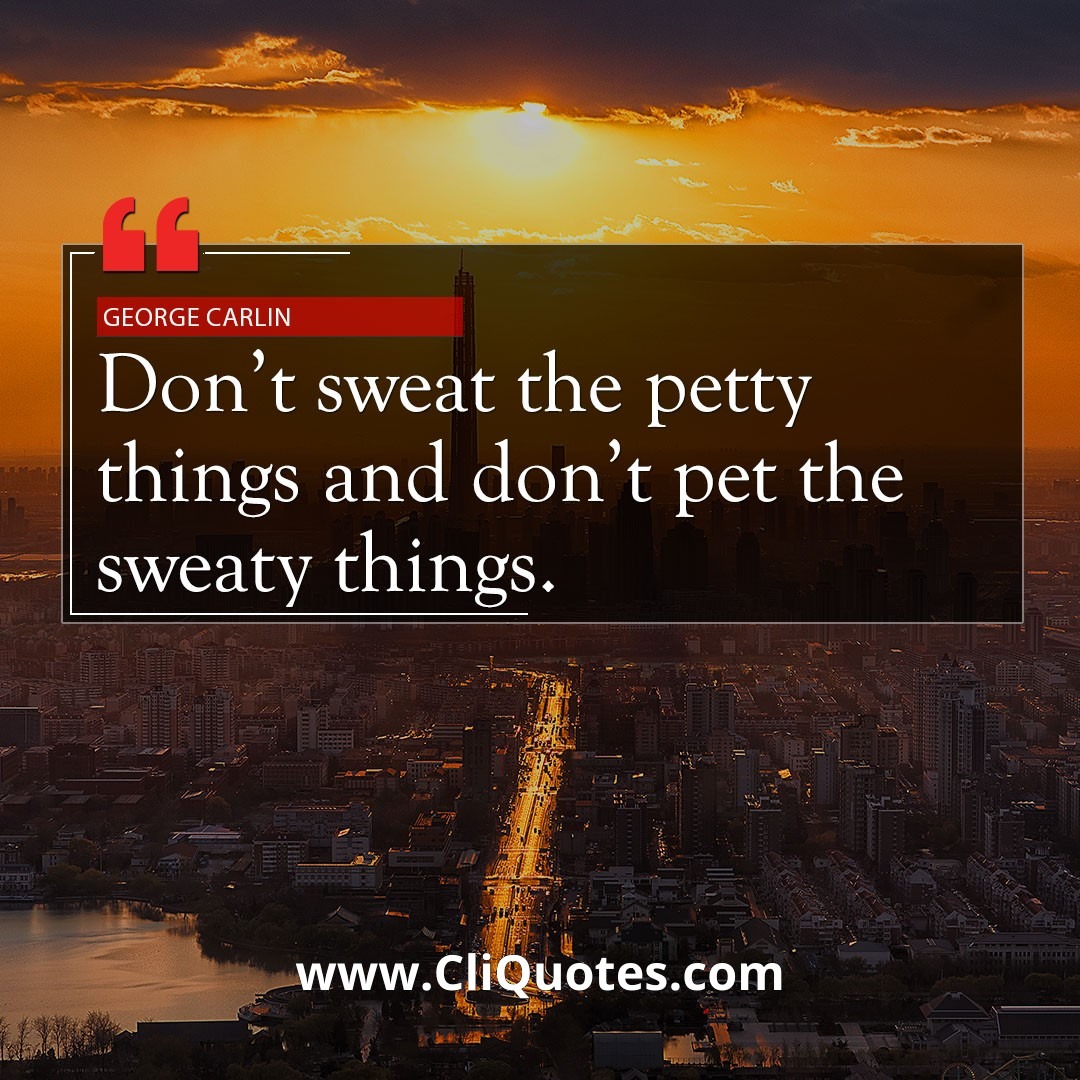 Don't sweat the petty things, and don't pet the sweaty things. — George Carlin