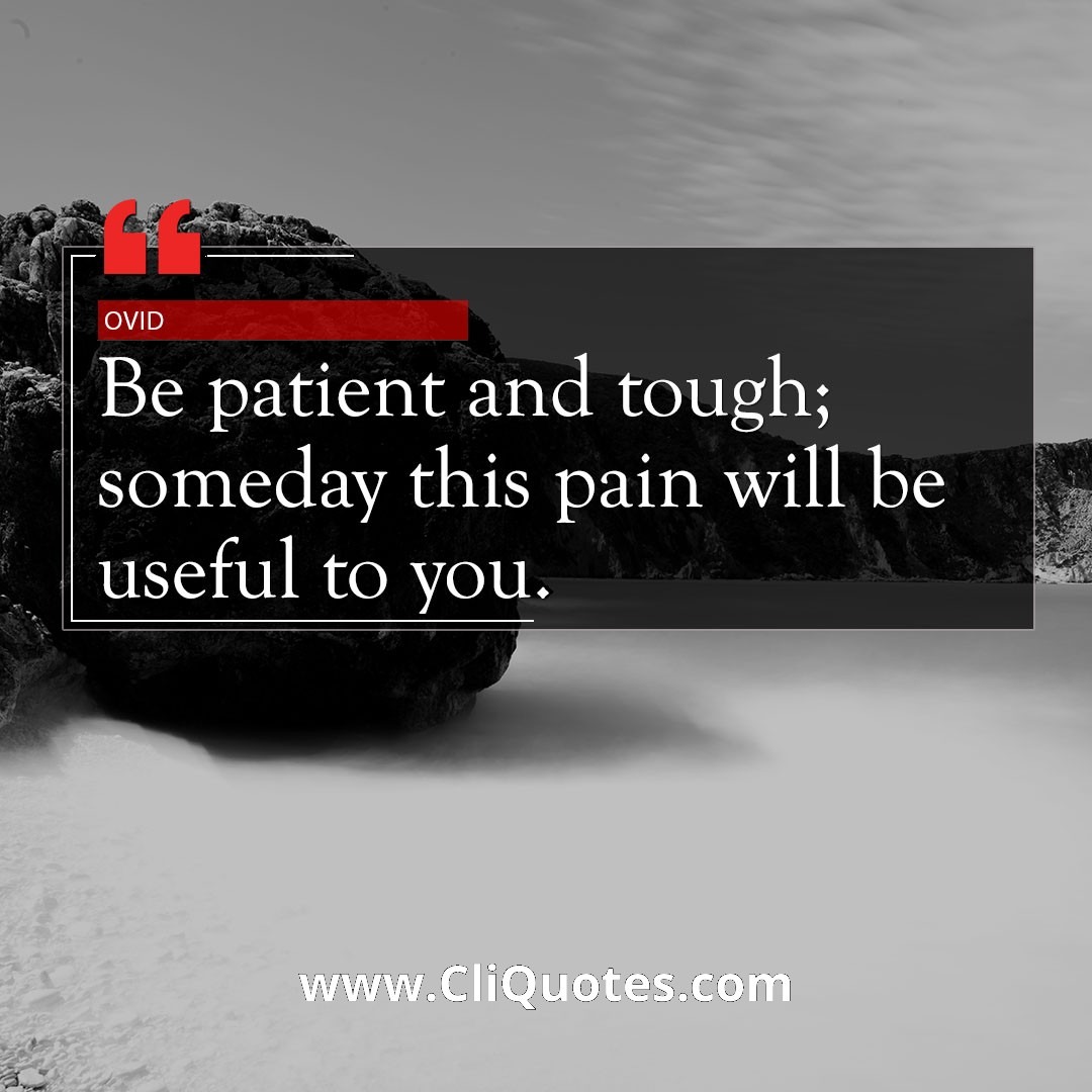 Be patient and tough; someday this pain will be useful to you. — Ovid