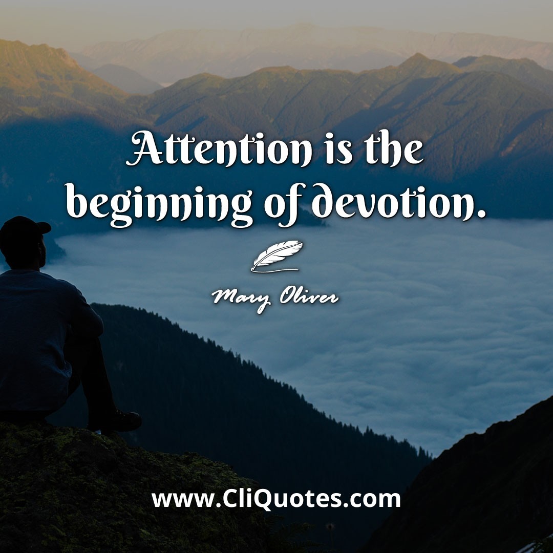 Attention is the beginning of devotion. -Mary Oliver