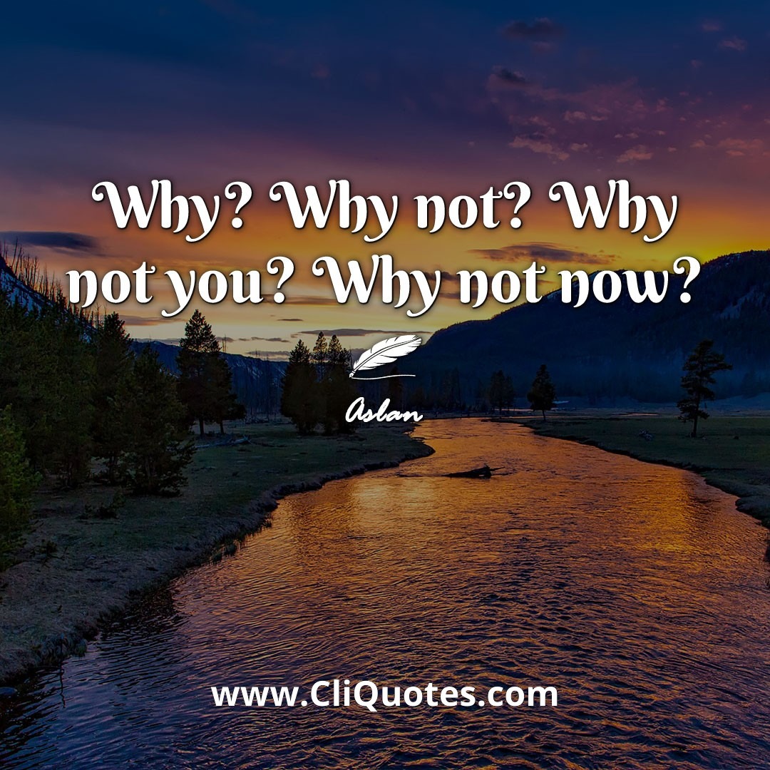 Why? Why not? Why not you? Why not now? -Aslan
