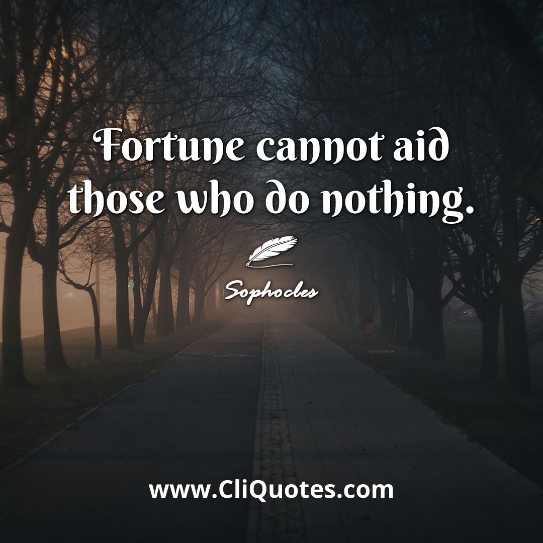 Fortune cannot aid those who do nothing. -Sophocles
