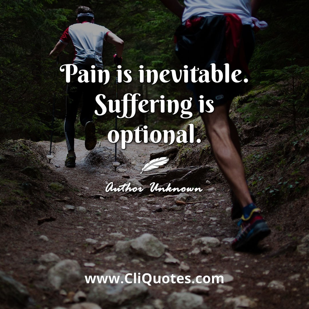 Pain is inevitable. Suffering is optional. – Haruki Murakami