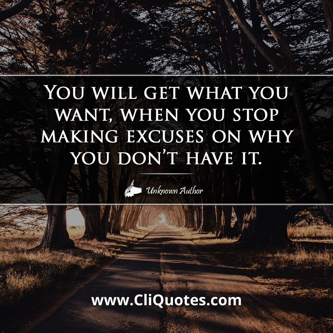 You will get what you want, when you stop making excuses on why you don't have it.