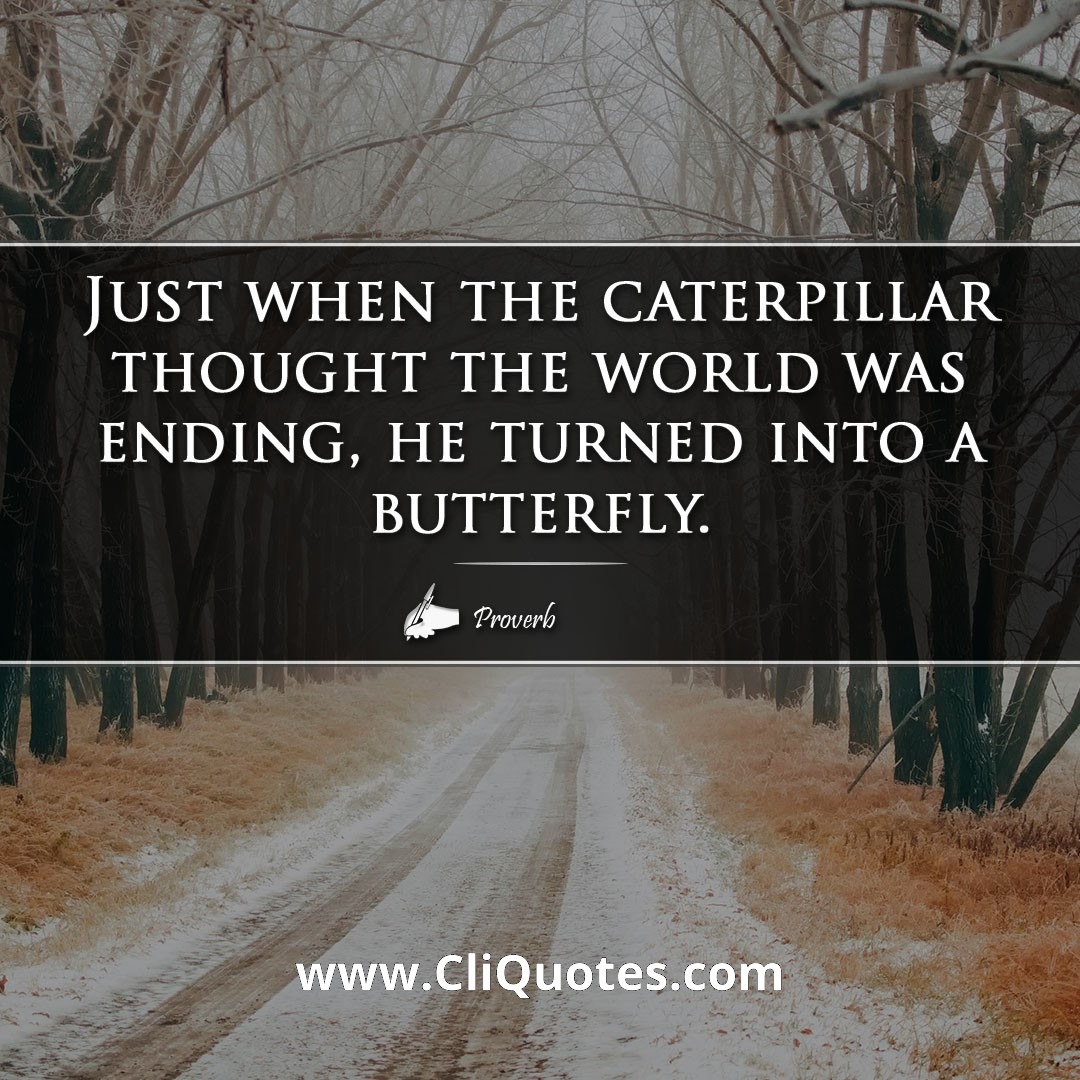 Just when the caterpillar thought the world was ending, he turned into a butterfly.