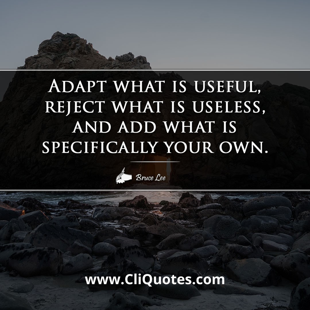 Adapt what is useful, reject what is useless, and add what is specifically your own. -Bruce Lee