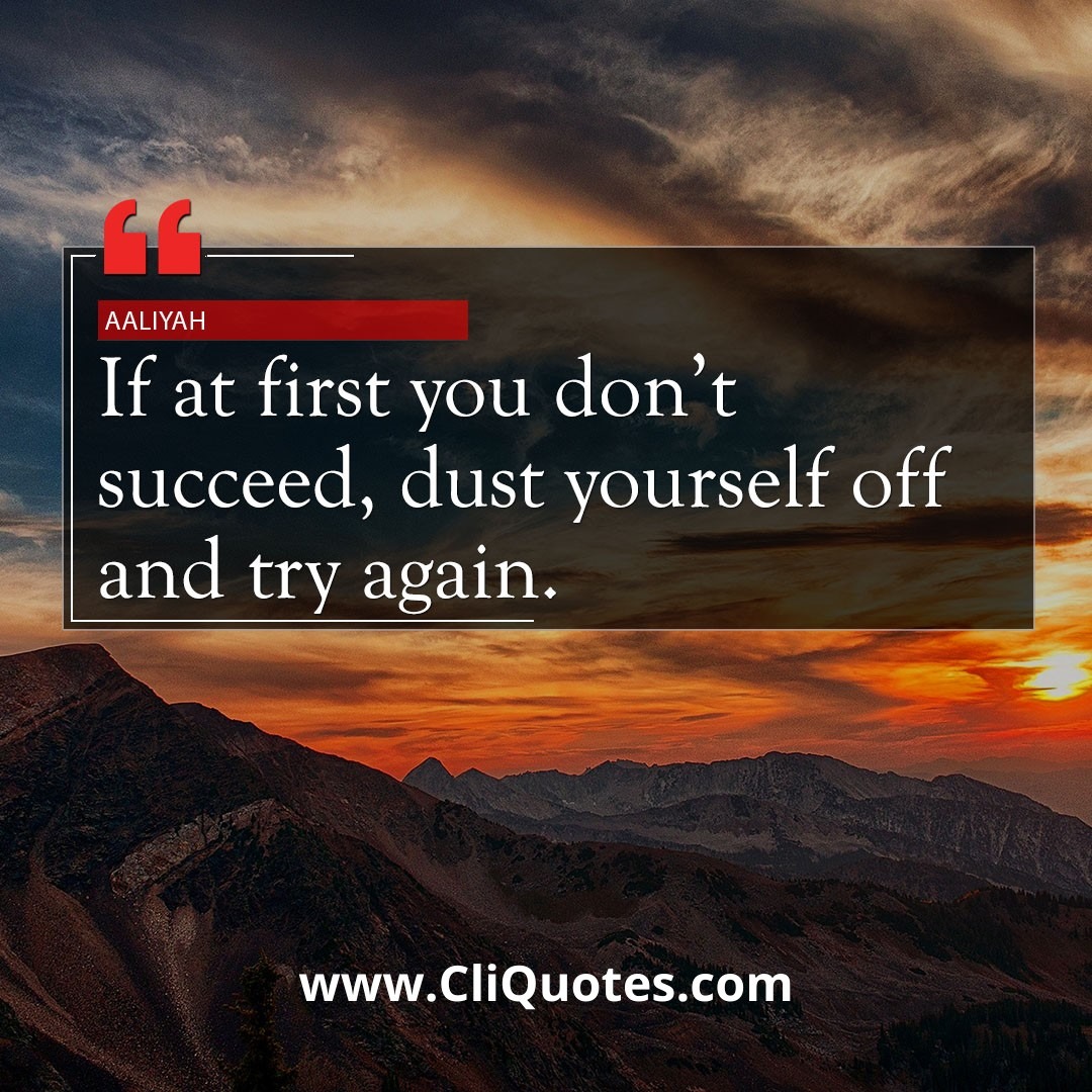 If at first you don't succeed, dust yourself off and try again. -Aaliyah