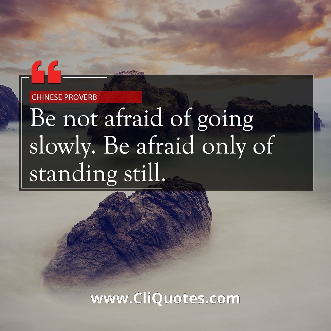 Be not afraid of going slowly. Be afraid only of standing still. -Chinese Proverb