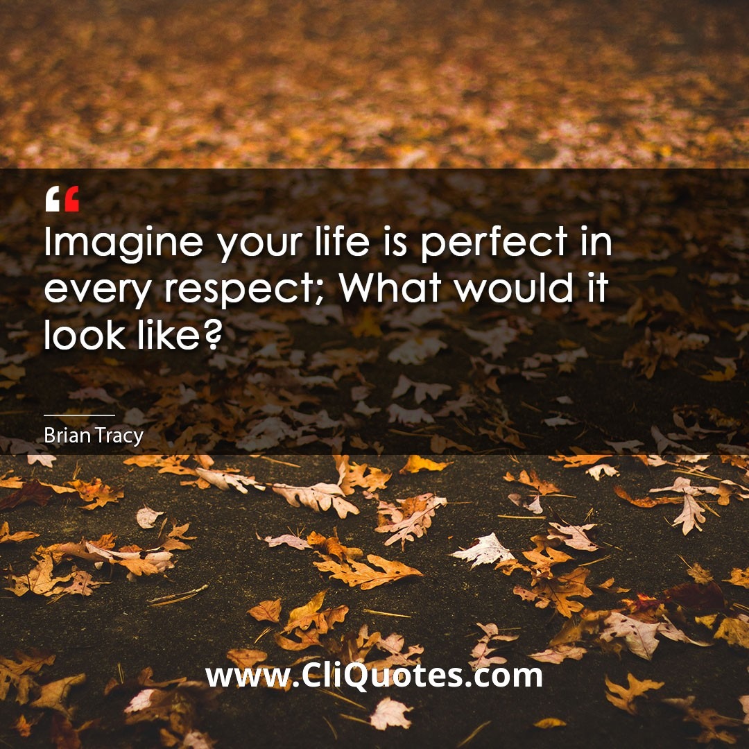 Imagine your life is perfect in every respect; What would it look like? -Brian Tracy