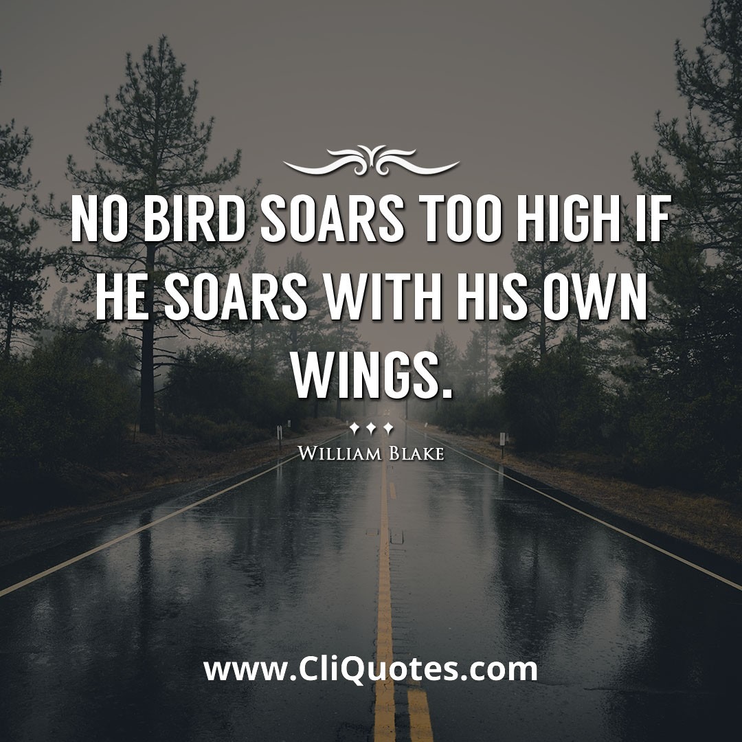 No bird soars too high if he soars with his own wings. -William Blake