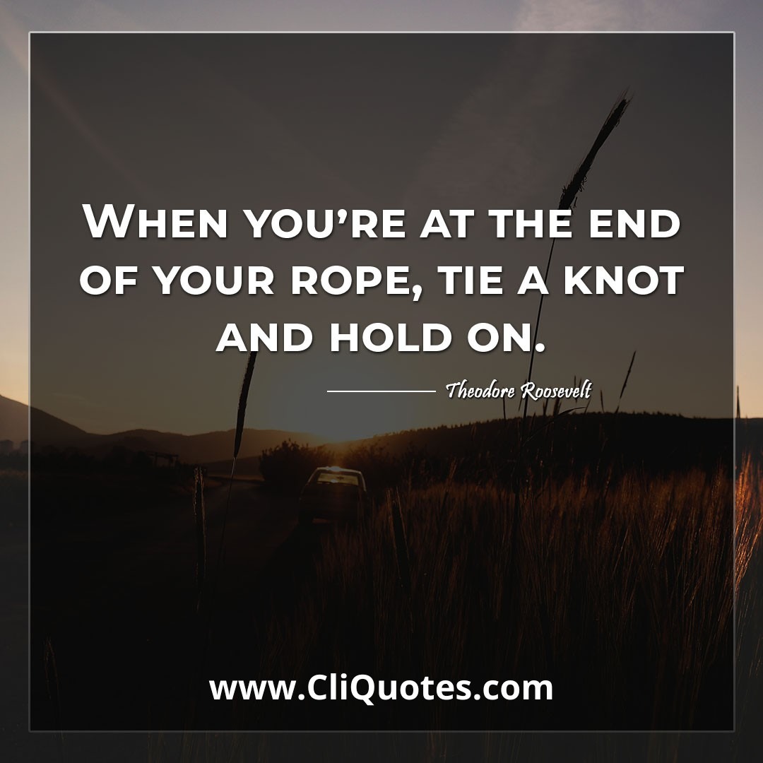 When you're at the end of your rope, tie a knot and hold on. -Theodore Roosevelt