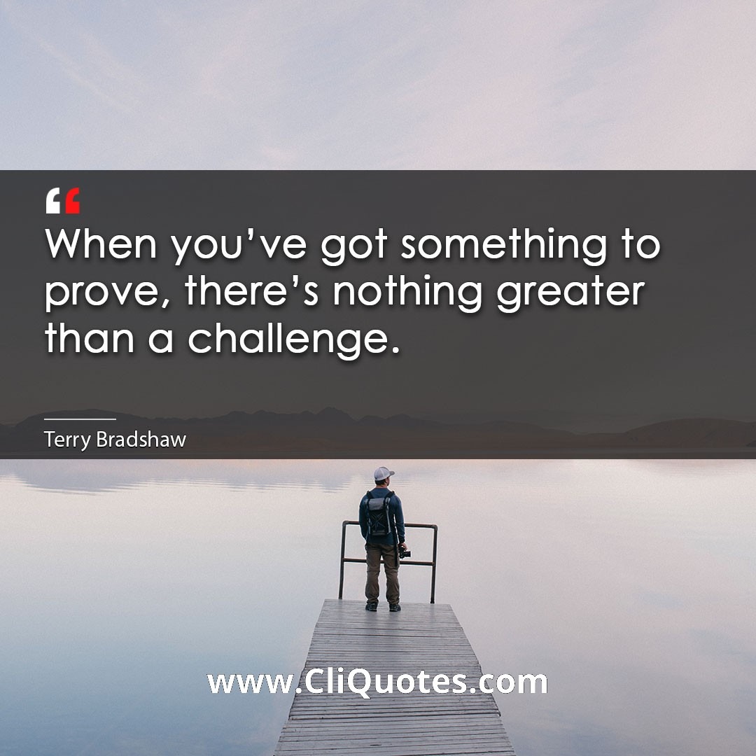 When you've got something to prove, there's nothing greater than a challenge. -Terry Bradshaw