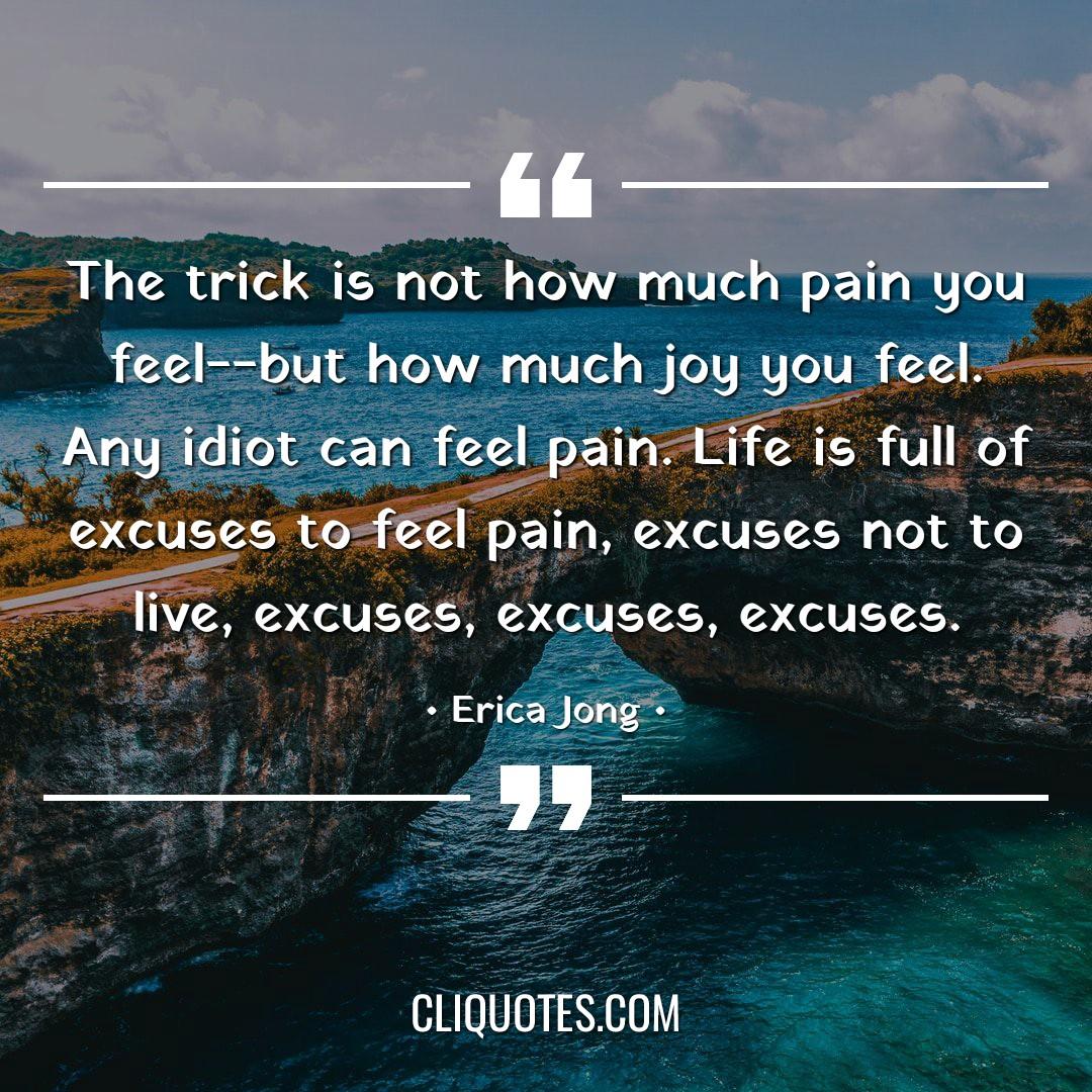 The trick is not how much pain you feel--but how much joy you feel. Any idiot can feel pain. Life is full of excuses to feel pain, excuses not to live, excuses, excuses, excuses. -Erica Jong