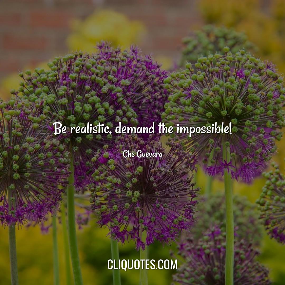 Be realistic, demand the impossible! -Che Guevara