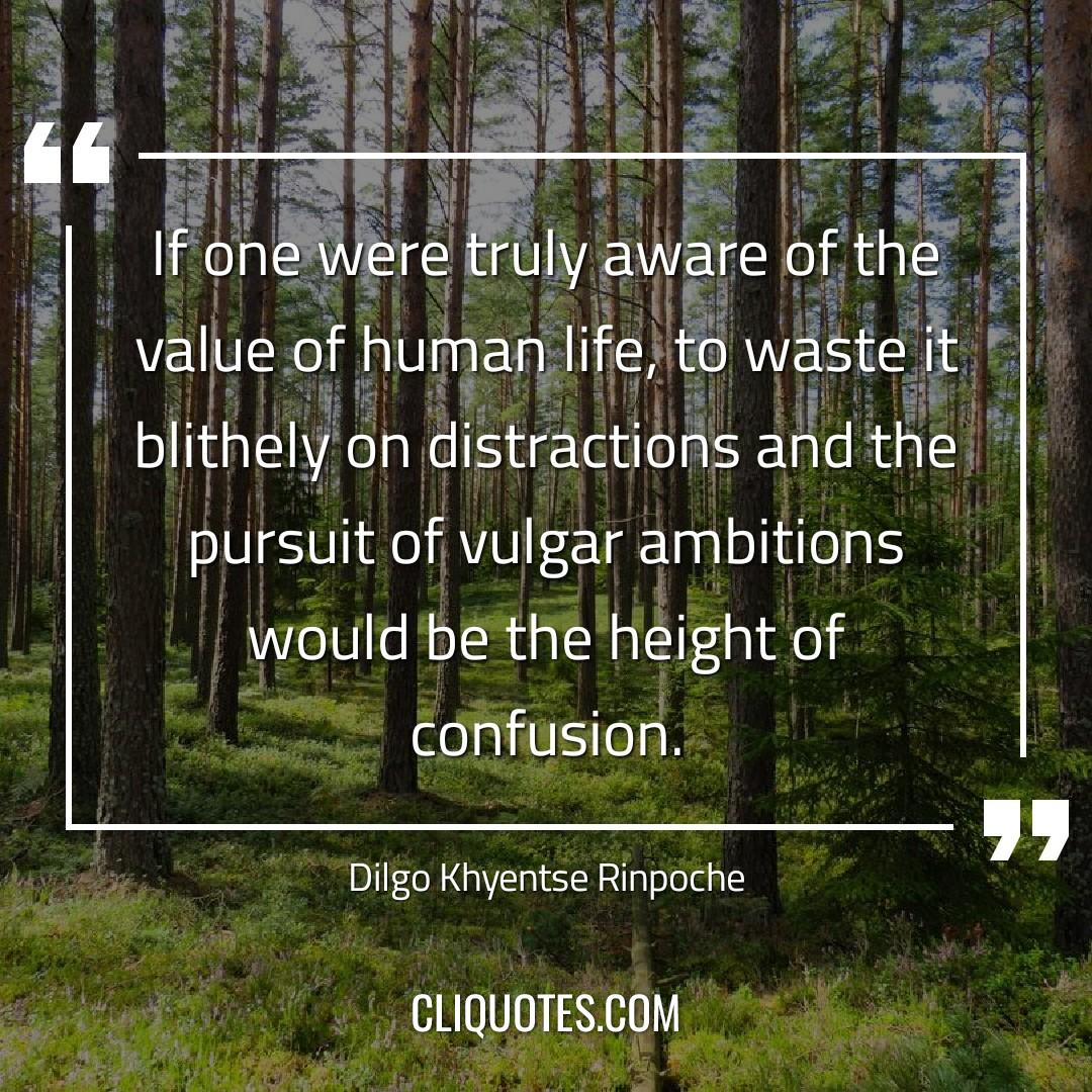 If one were truly aware of the value of human life, to waste it blithely on distractions and the pursuit of vulgar ambitions would be the height of confusion. -Dilgo Khyentse Rinpoche