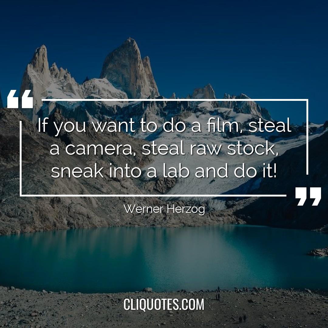 If you want to do a film, steal a camera, steal raw stock, sneak into a lab and do it! -Werner Herzog