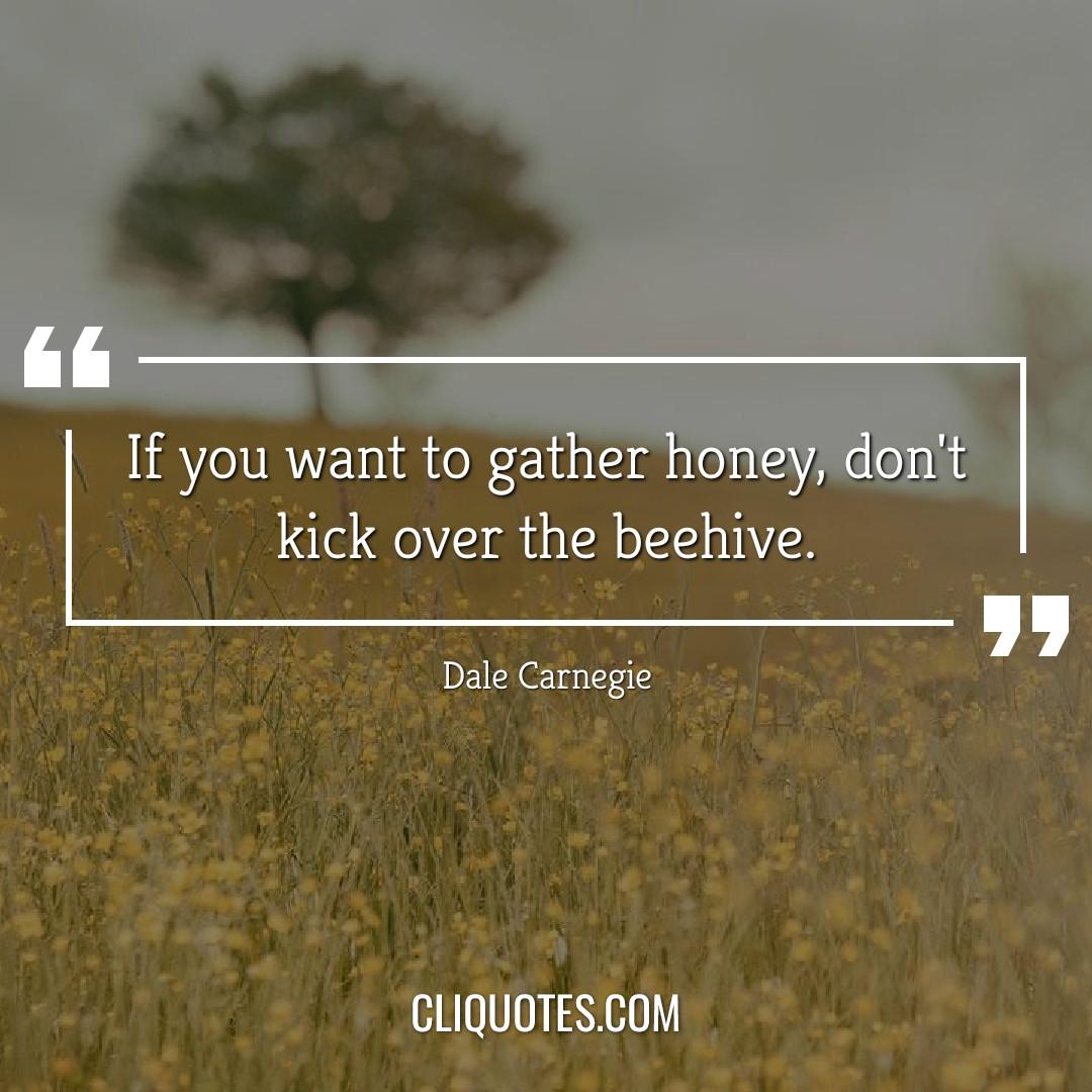 If you want to gather honey, don't kick over the beehive. -Dale Carnegie
