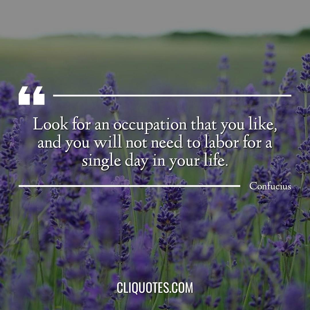 Look for an occupation that you like, and you will not need to labor for a single day in your life. -Confucius