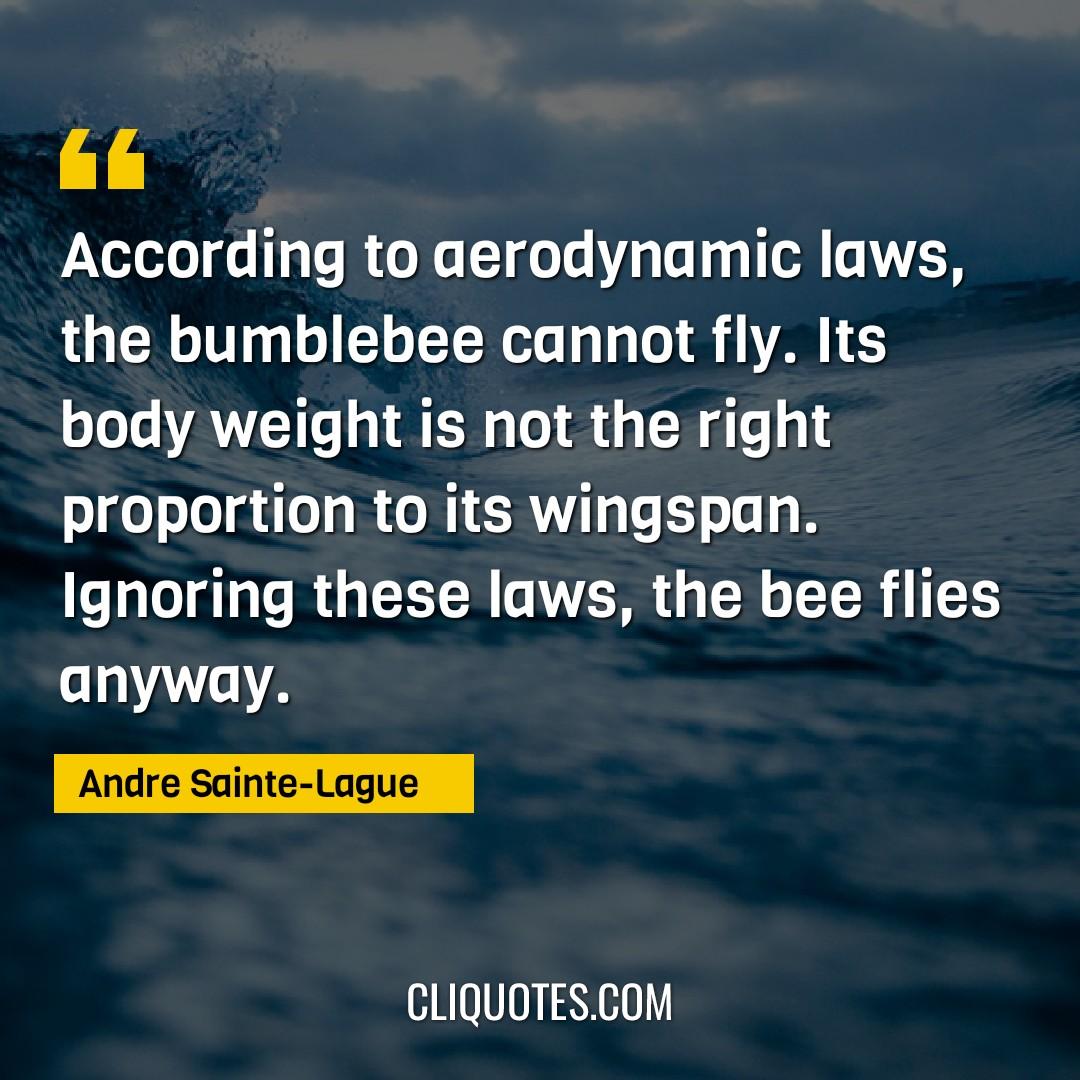 According to aerodynamic laws, the bumblebee cannot fly. Its body weight is not the right proportion to its wingspan. Ignoring these laws, the bee flies anyway. -Andre Sainte-Lague