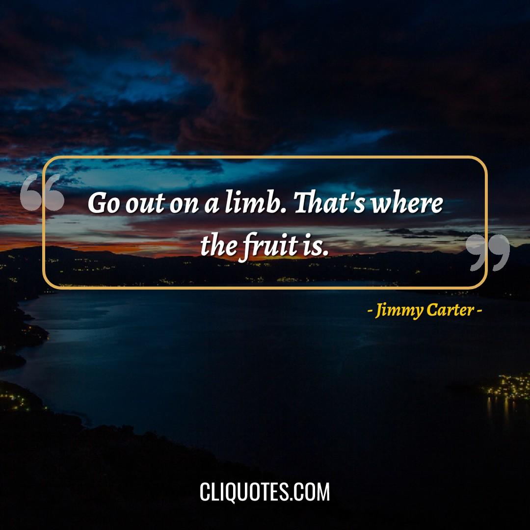 Go out on a limb. That's where the fruit is. -Jimmy Carter