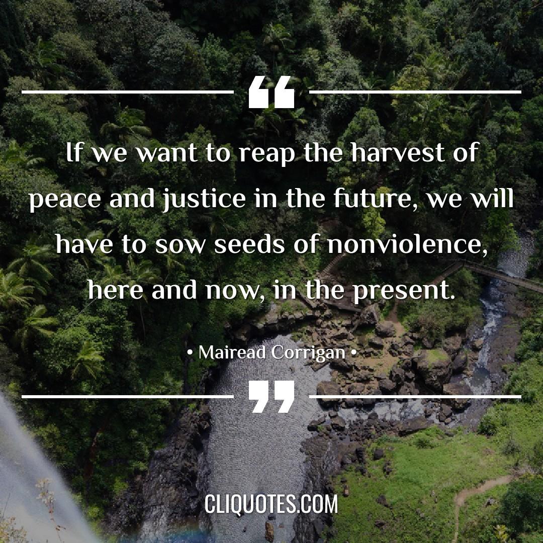 If we want to reap the harvest of peace and justice in the future, we will have to sow seeds of nonviolence, here and now, in the present. -Mairead Corrigan