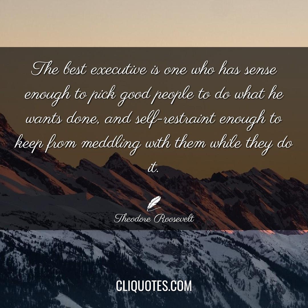 The best executive is one who has sense enough to pick good people to do what he wants done, and self-restraint enough to keep from meddling with them while they do it. -Theodore Roosevelt